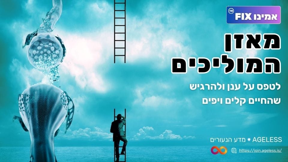 e5226612-6959-4fe3-a93a-0f51072d4e75.AGELESS אמינו FIX - מאזן המוליכים